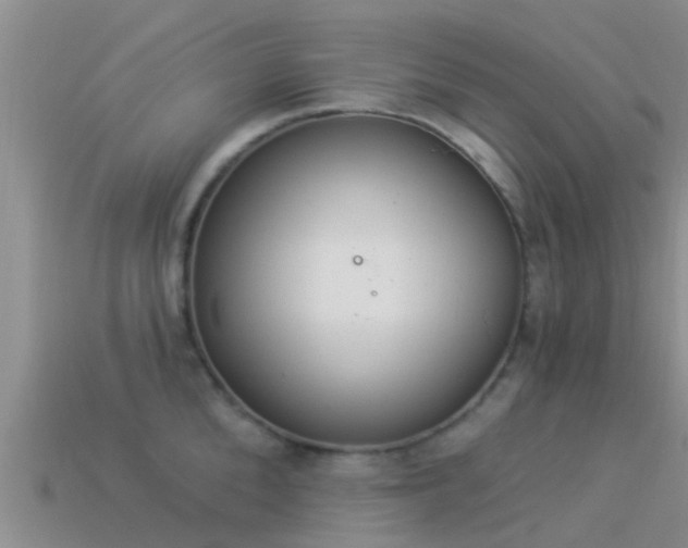 X0000114160904200910151603