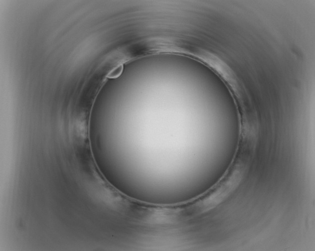 X0000114160905200910151603