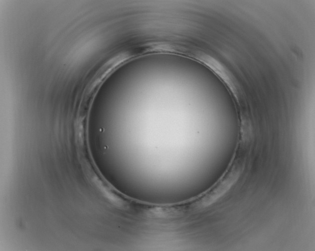 X0000114160906200910151603