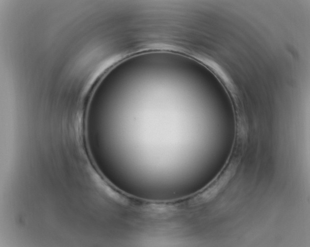 X0000114160910200910151603