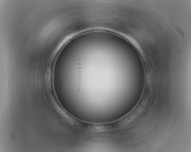 X0000114160911200910151603