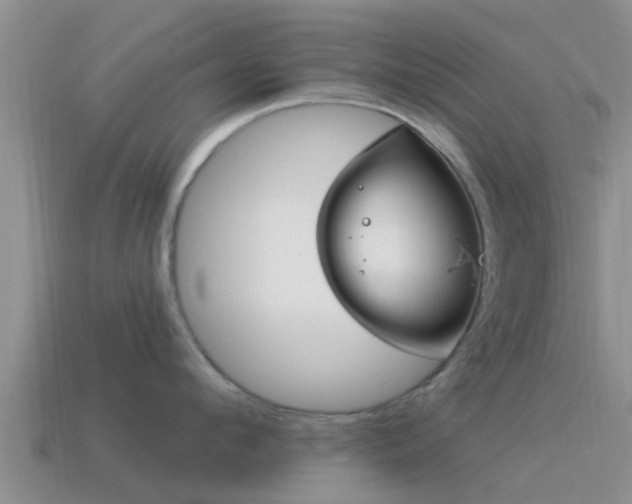 X0000114160912200910151603