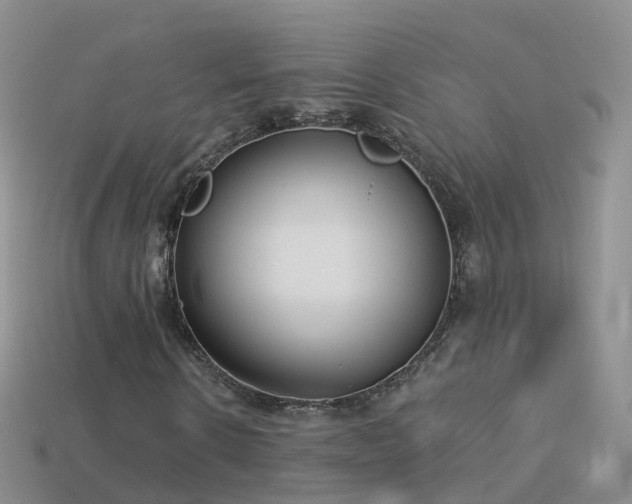 X0000114160914200910151603