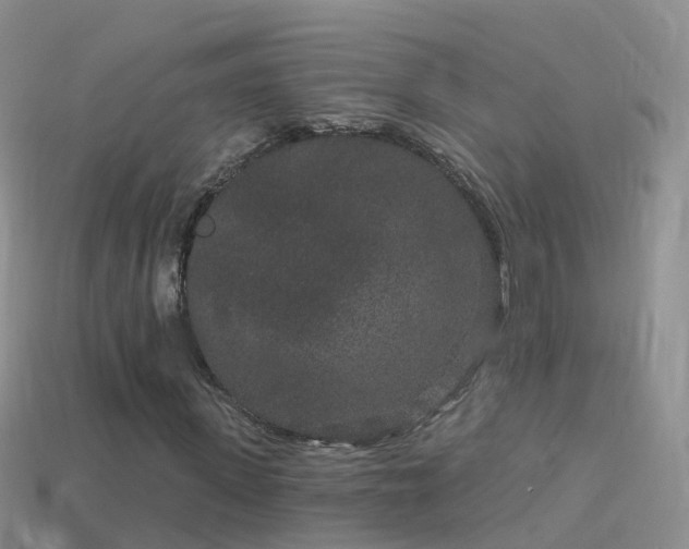 X0000114160915200910151603