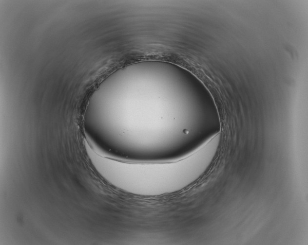 X0000114160916200910151603