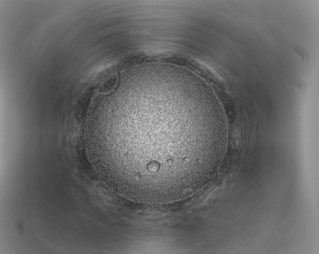 X0000114160917200910151603