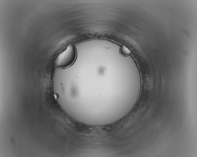 X0000114160918200910151603