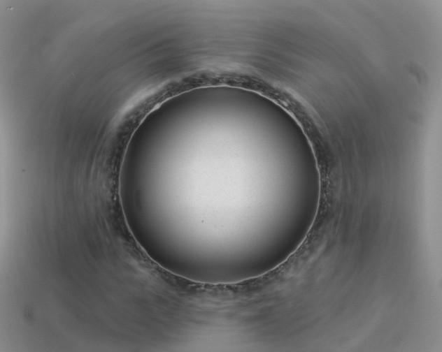 X0000114160919200910151603