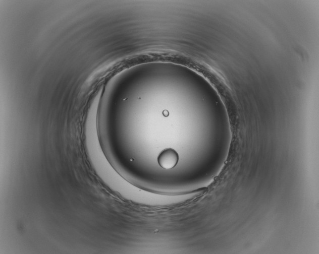 X0000114160920200910151603