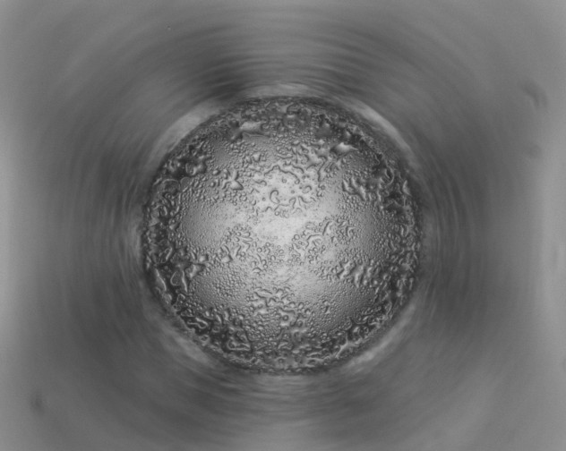 X0000114160921200910151603