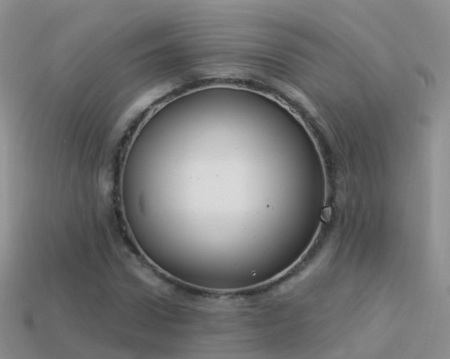 X0000114160922200910151603