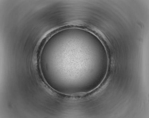 X0000114160923200910151603