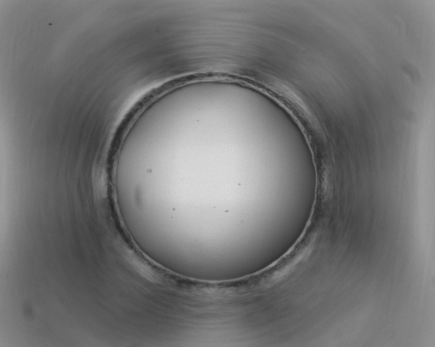 X0000114160924200910151603