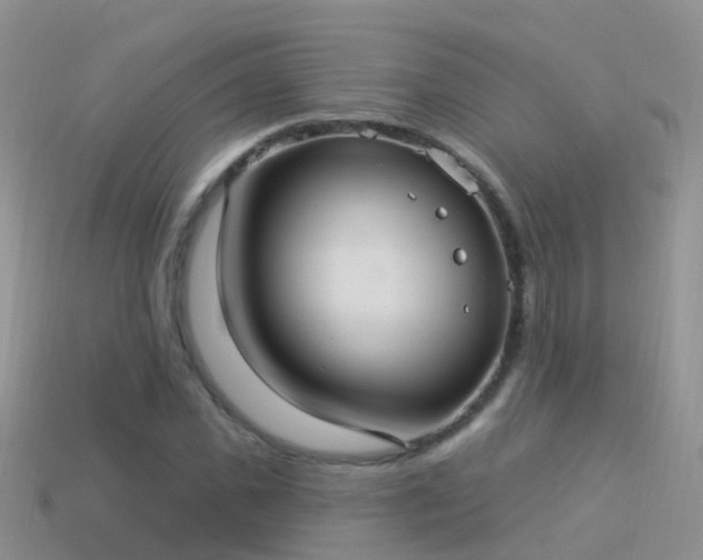 X0000114160925200910151603