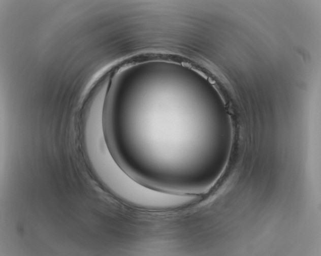 X0000114160926200910151603