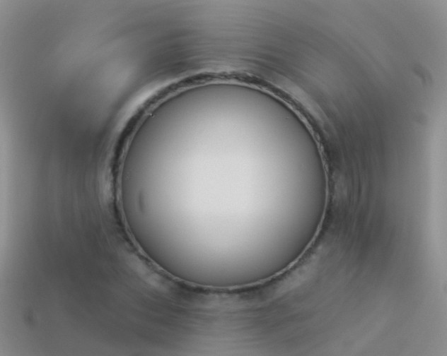 X0000114160927200910151603