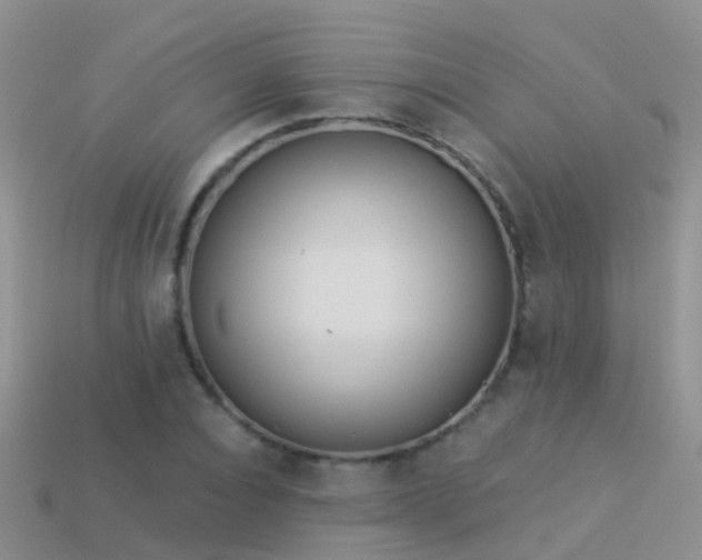 X0000114160928200910151603