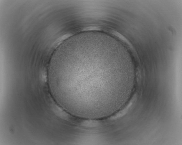 X0000114160929200910151603