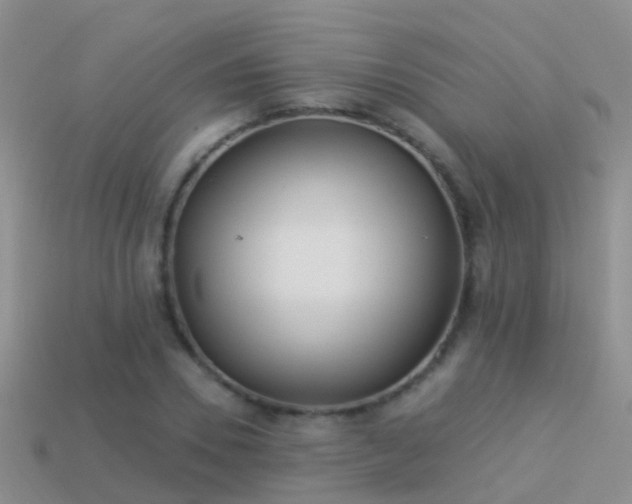 X0000114160930200910151603