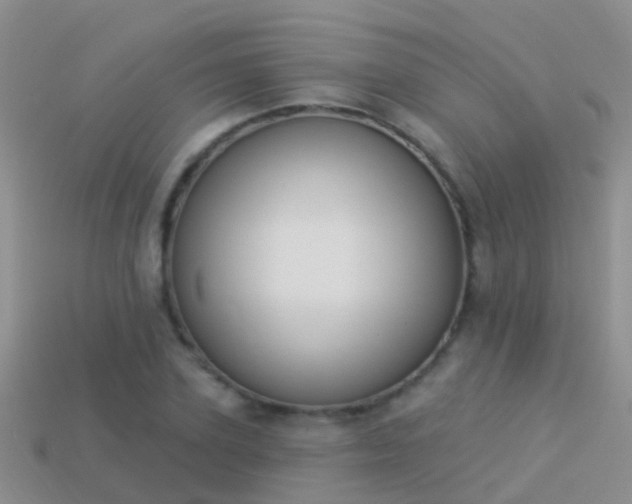 X0000114160931200910151603