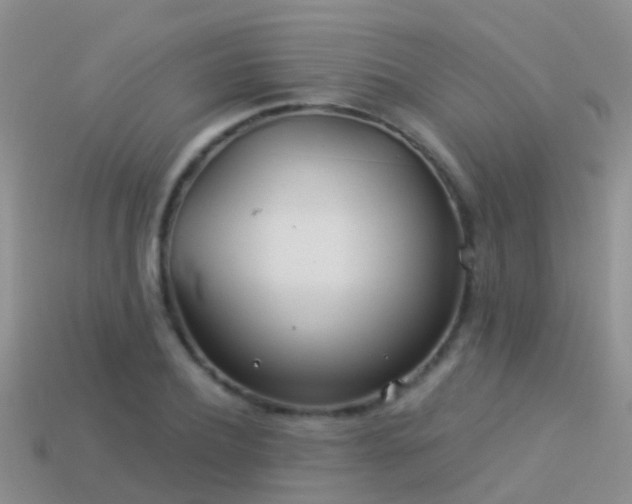 X0000114160932200910151603