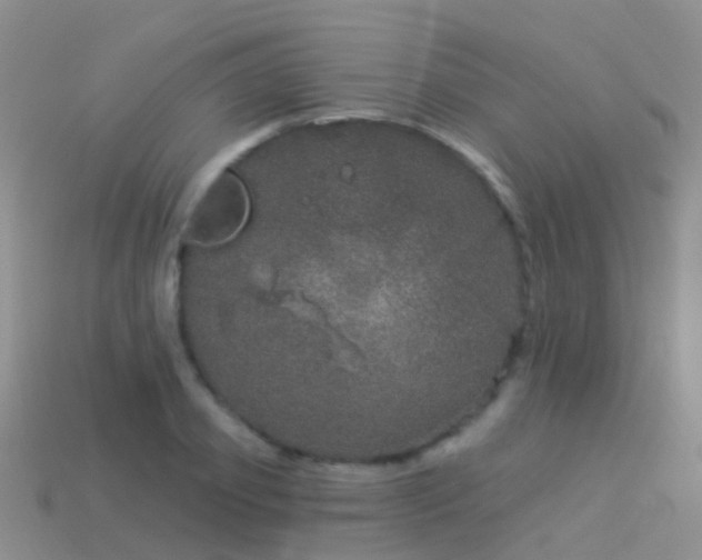 X0000114160933200910151603