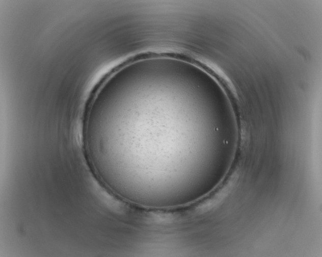 X0000114160935200910151603