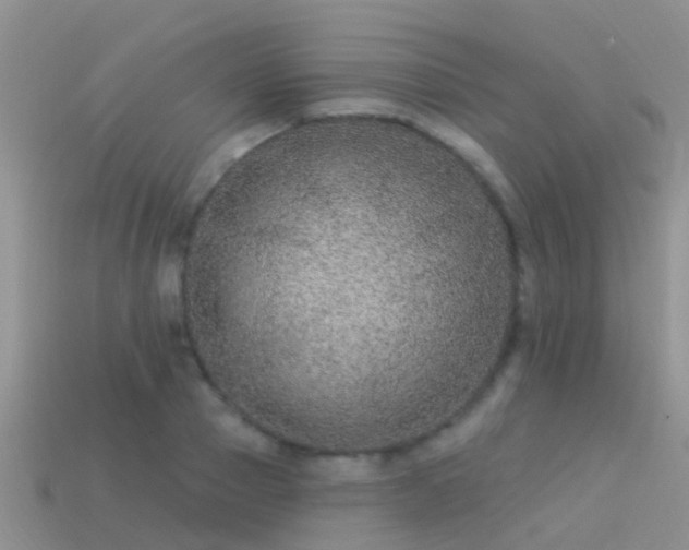 X0000114160937200910151603