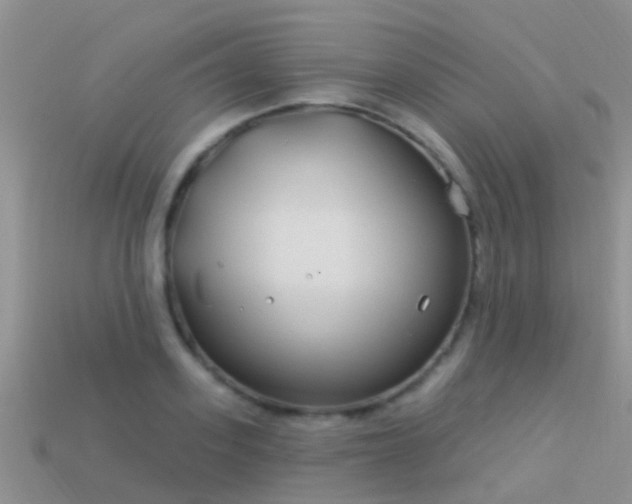 X0000114160939200910151603