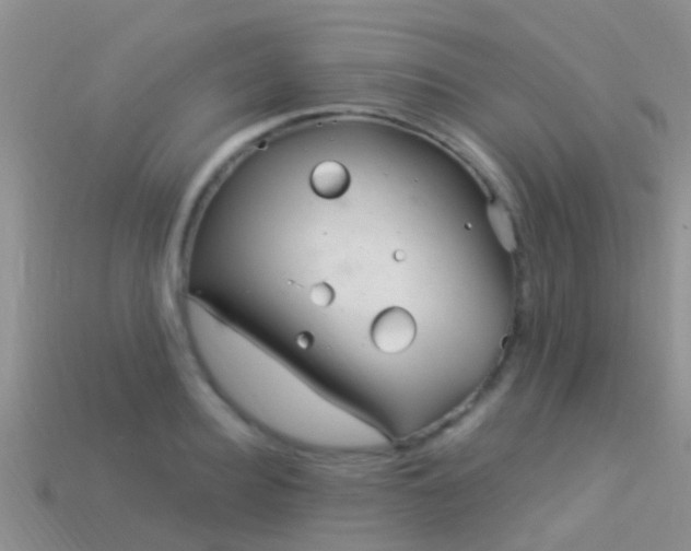 X0000114160940200910151603