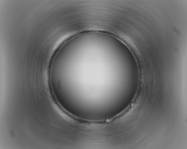 X0000114160942200910151603