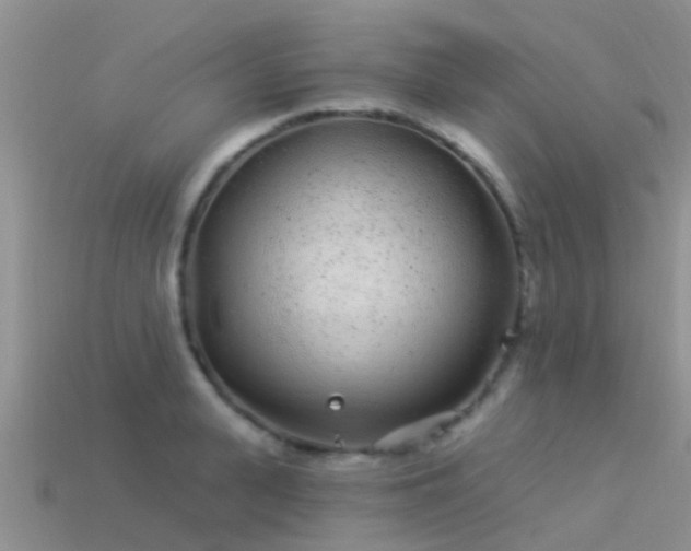 X0000114160943200910151603