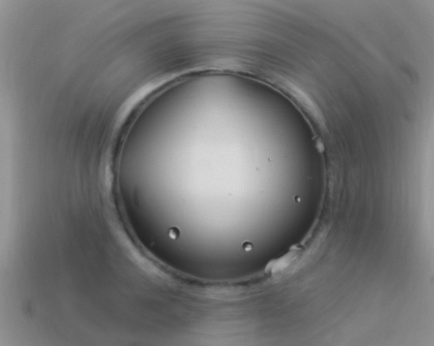 X0000114160944200910151603