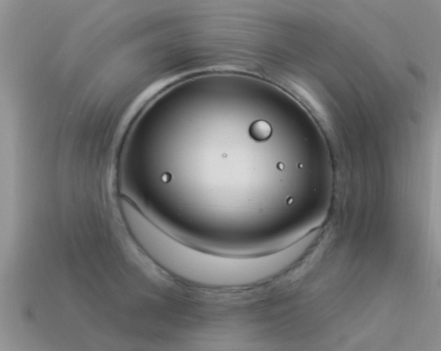 X0000114160948200910151603