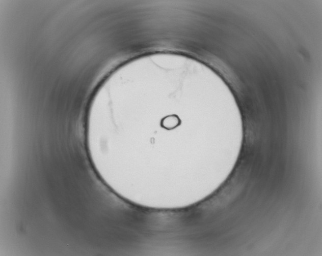 X0000114160950200910151603