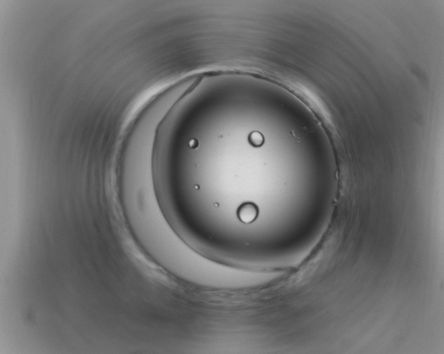 X0000114160952200910151603