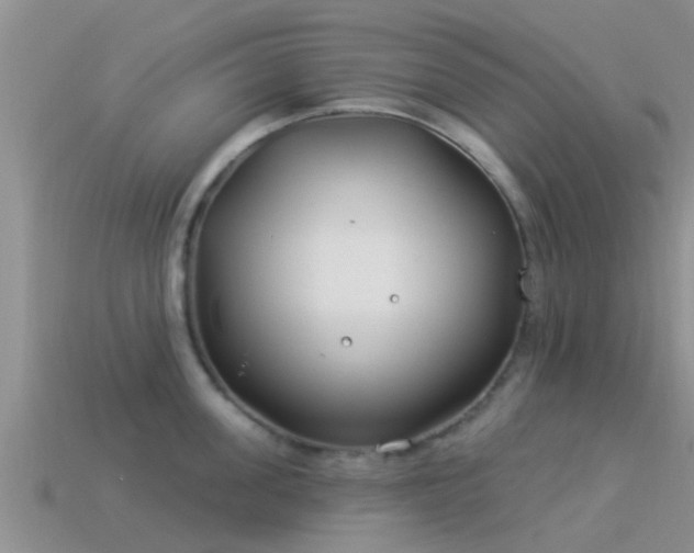 X0000114160955200910151603