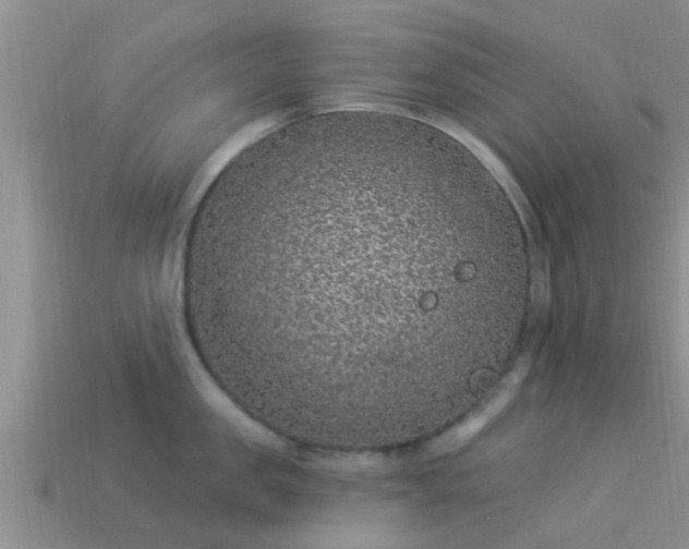 X0000114160957200910151603