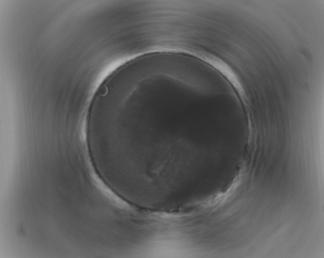 X0000114160958200910151603