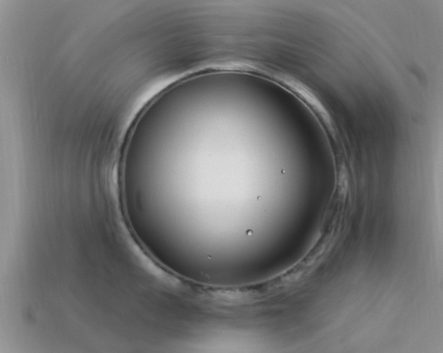 X0000114160959200910151603