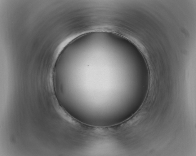 X0000114160960200910151603