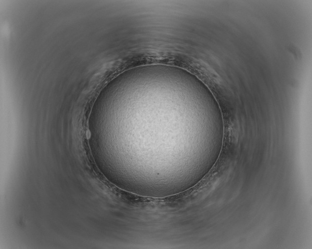 X0000114160961200910151603