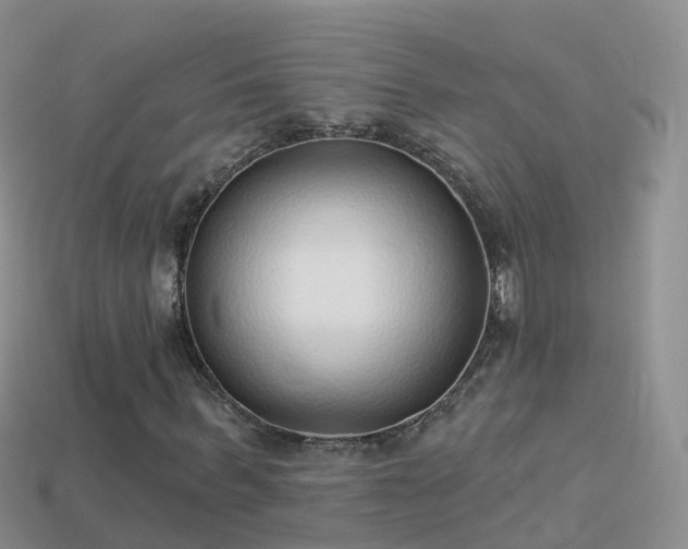 X0000114160963200910151603