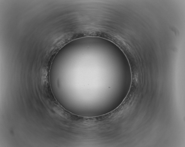 X0000114160964200910151603