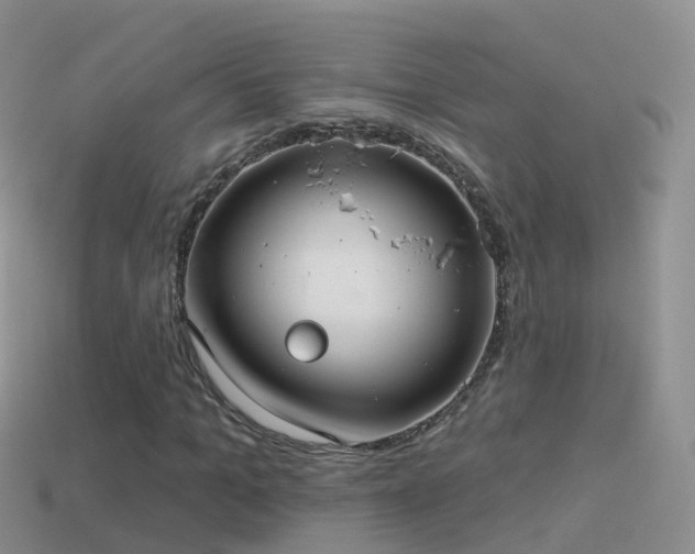 X0000114160965200910151603