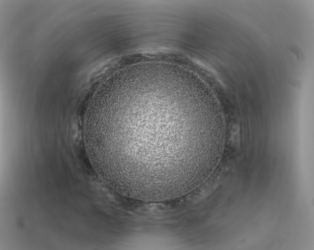 X0000114160966200910151603