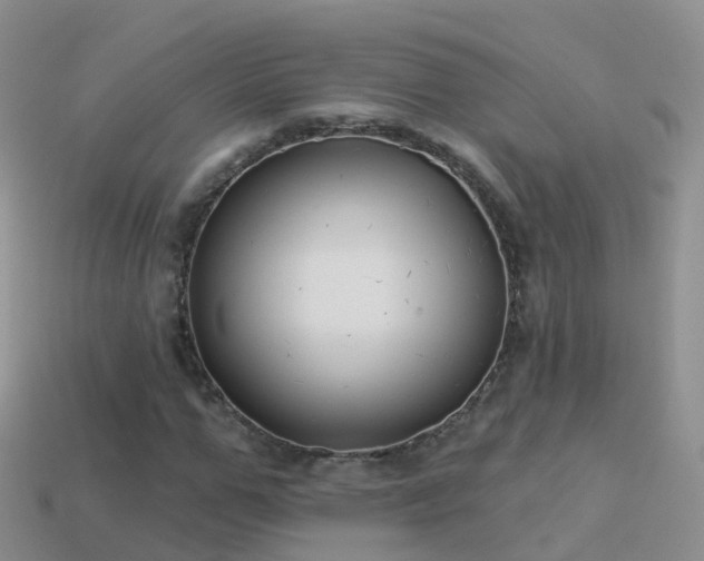 X0000114160967200910151603