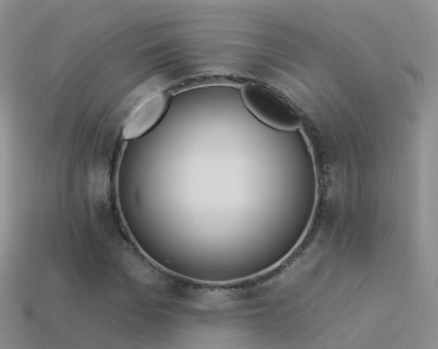 X0000114160969200910151602