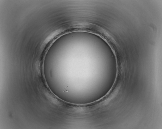 X0000114160970200910151602