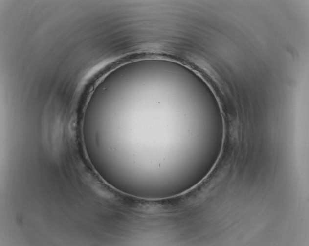 X0000114160971200910151602